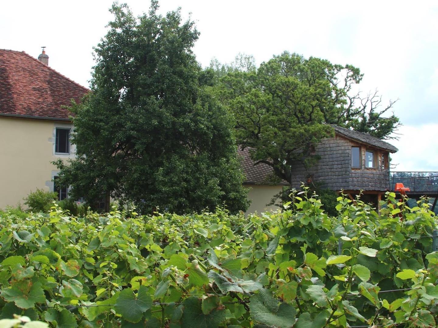 L'Entre-Coeur Bed & Breakfast Menetru-le-Vignoble Bagian luar foto